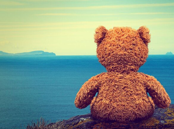 A teddy bear looking out at the sea.