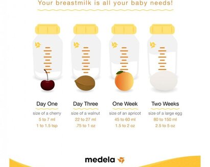 How much breast milk does a newborn need?