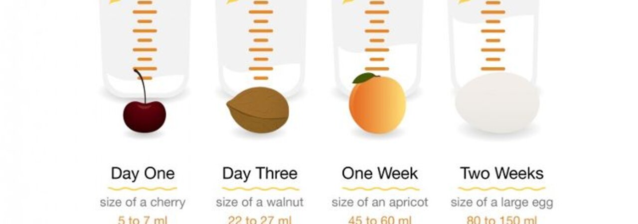 Newborn Stomach Size - How much breast milk does a newborn need?