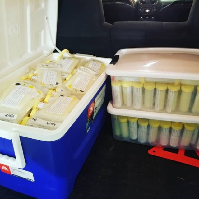 Cooler filled with bottles and bags of breast milk.